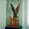 display case